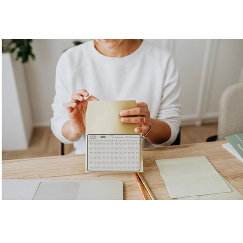 A6 Savings Tracker Printable | Monthly Budget Planner | Cash Envelope System